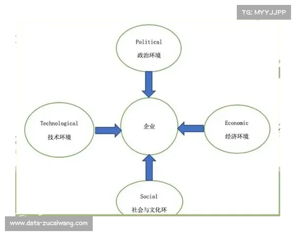 搏击行业宏观环境分析,政治法律、经济、社会、技术多维度评估